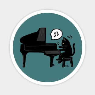 Pianist Magnet